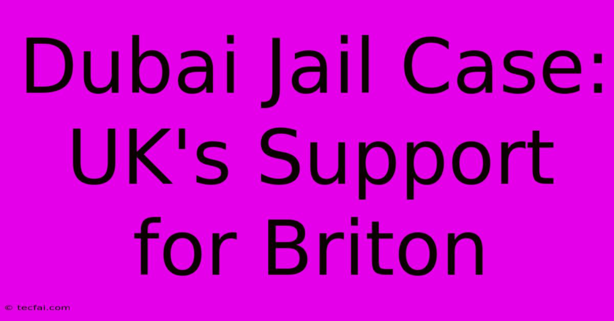 Dubai Jail Case: UK's Support For Briton