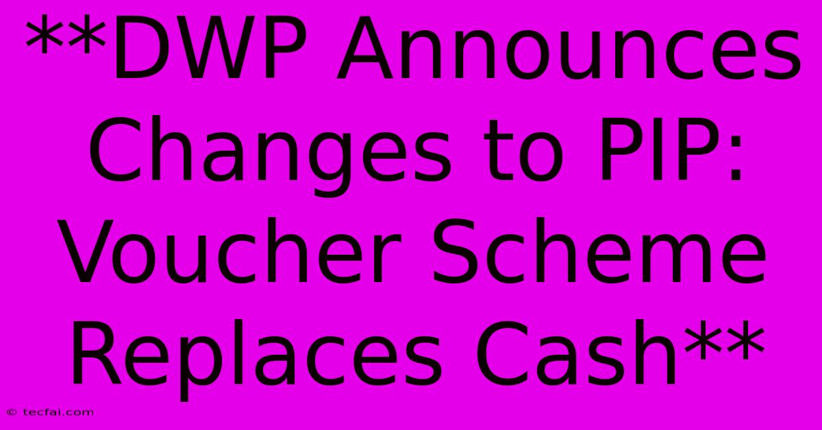 **DWP Announces Changes To PIP: Voucher Scheme Replaces Cash**