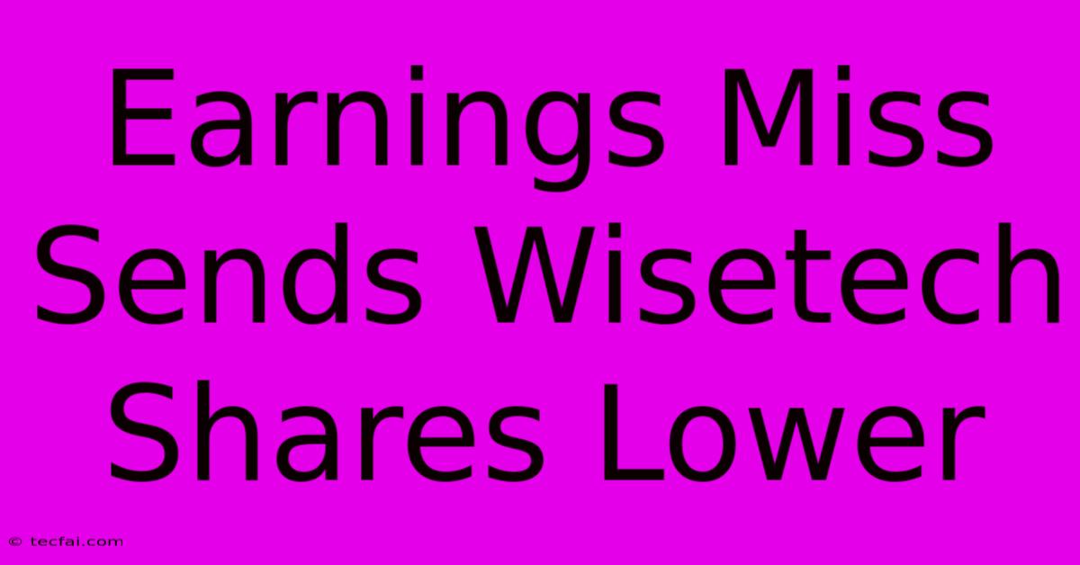 Earnings Miss Sends Wisetech Shares Lower