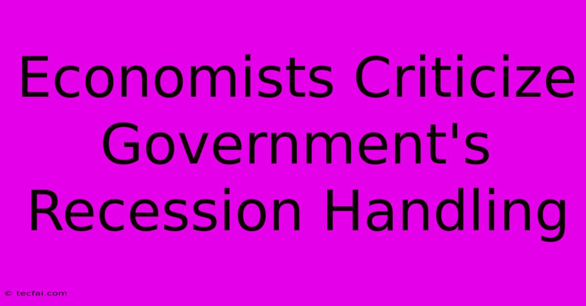 Economists Criticize Government's Recession Handling