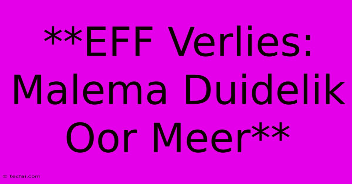 **EFF Verlies: Malema Duidelik Oor Meer**