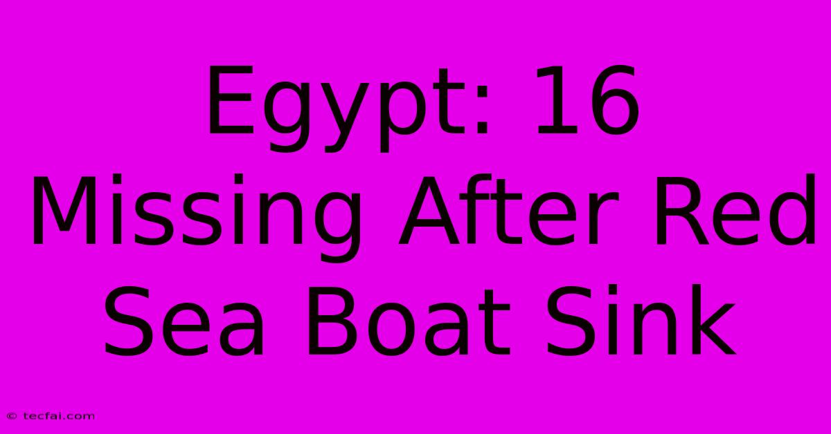 Egypt: 16 Missing After Red Sea Boat Sink