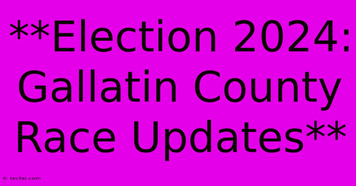 **Election 2024: Gallatin County Race Updates** 