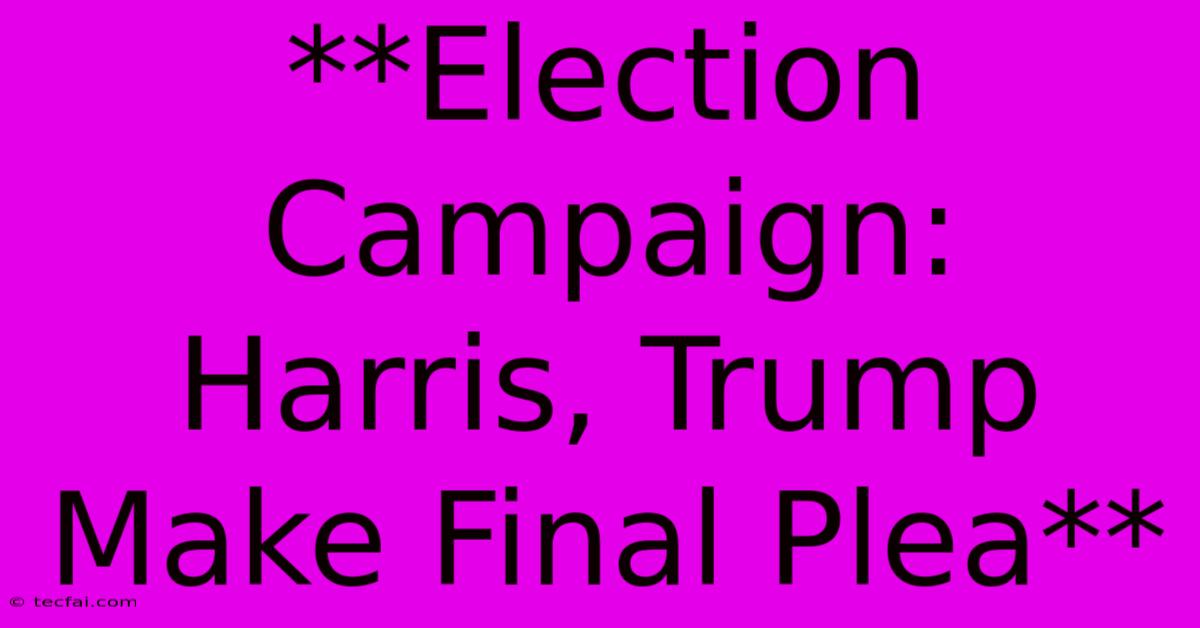 **Election Campaign: Harris, Trump Make Final Plea**