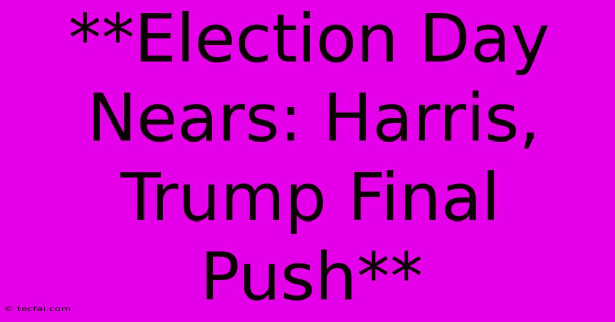 **Election Day Nears: Harris, Trump Final Push** 