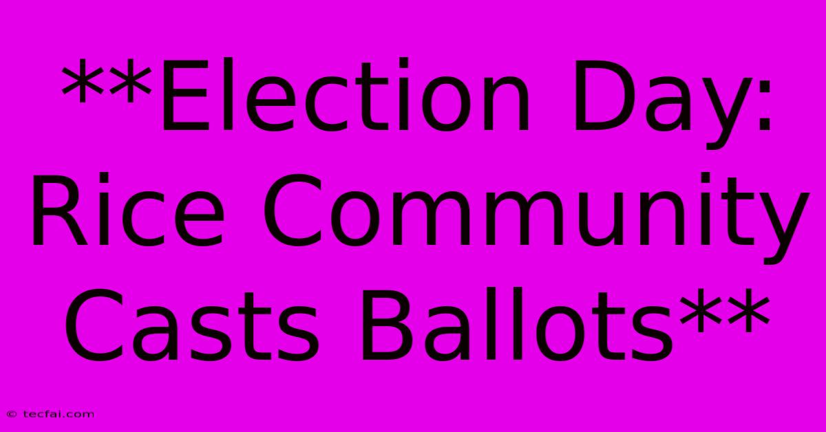 **Election Day: Rice Community Casts Ballots**