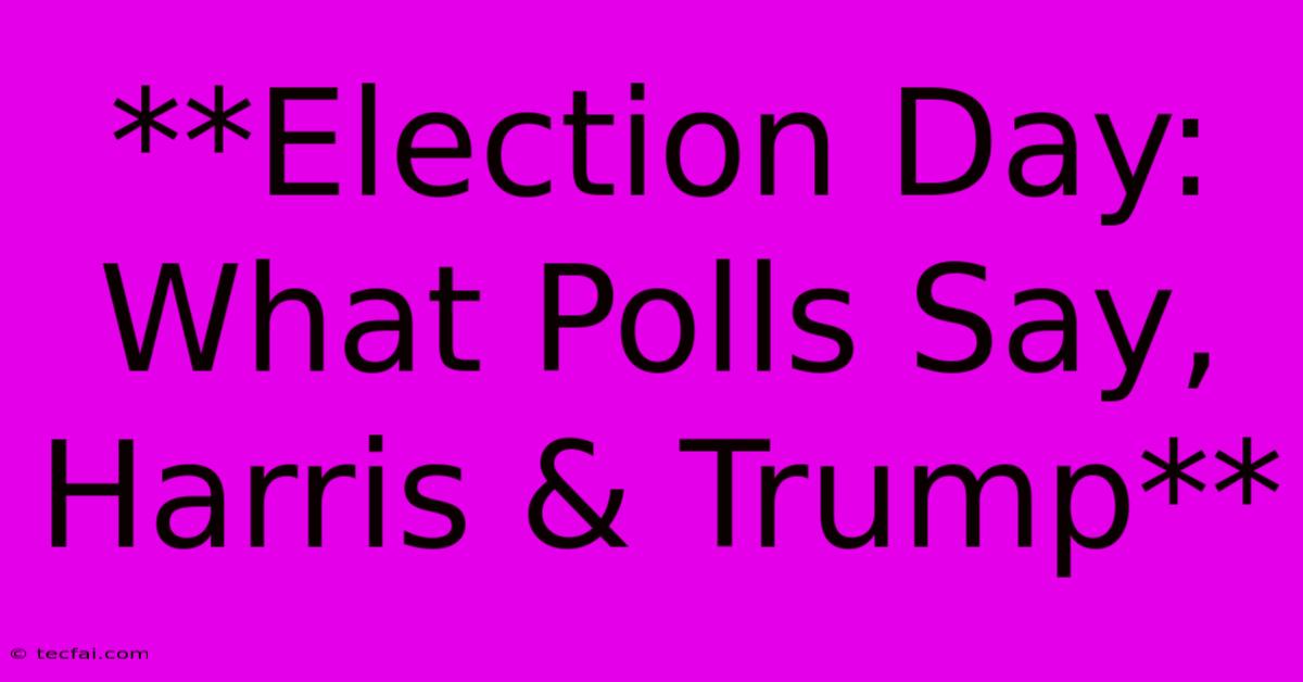 **Election Day: What Polls Say, Harris & Trump**