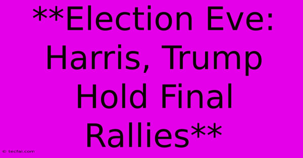 **Election Eve: Harris, Trump Hold Final Rallies** 