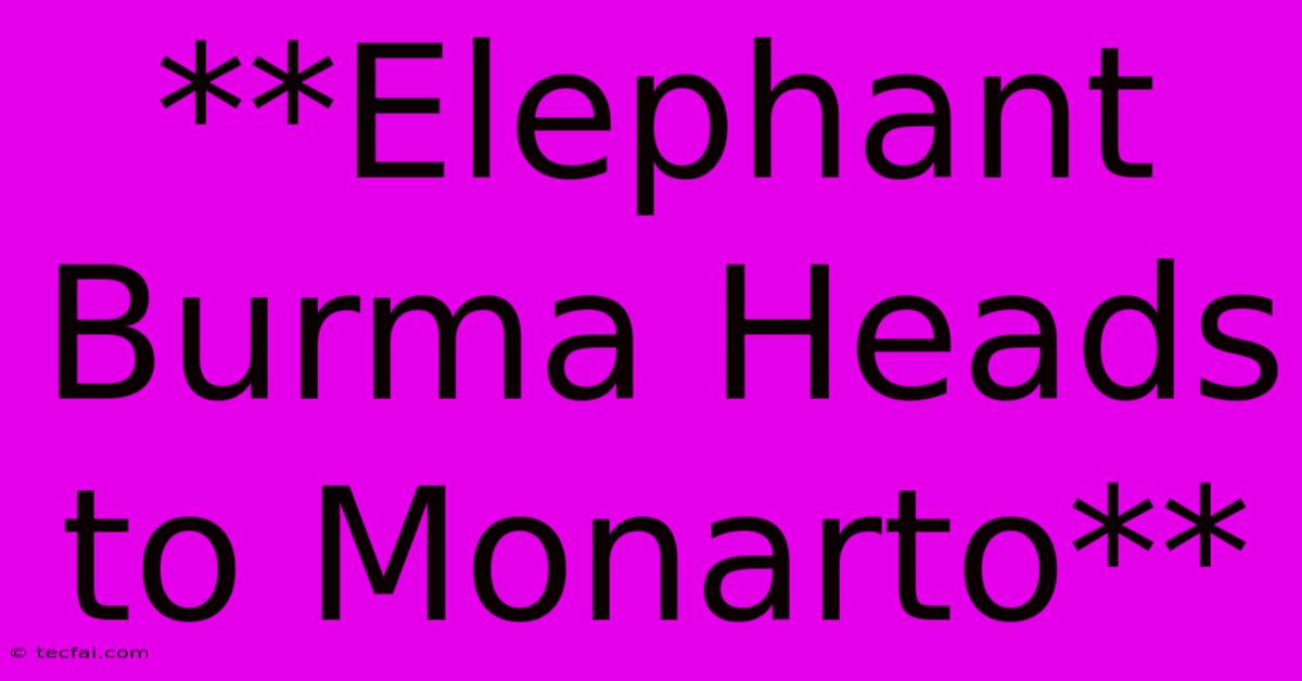 **Elephant Burma Heads To Monarto**