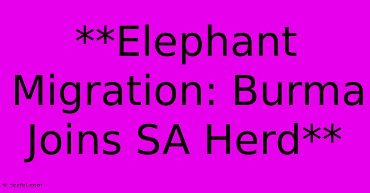 **Elephant Migration: Burma Joins SA Herd**