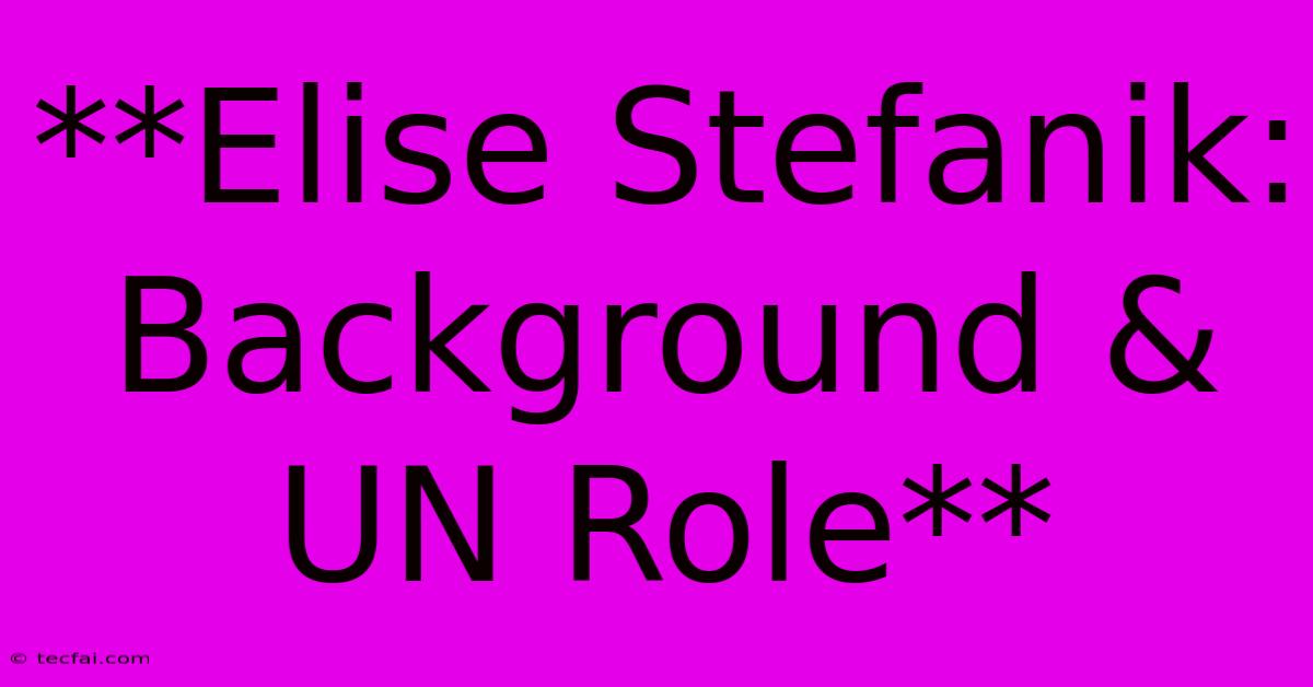 **Elise Stefanik: Background & UN Role**