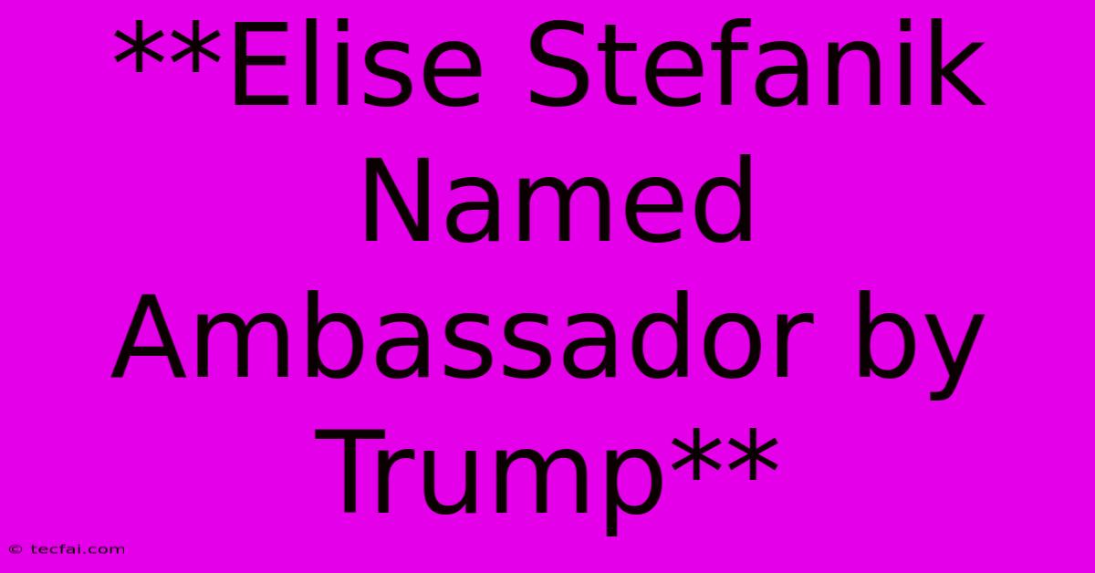 **Elise Stefanik Named Ambassador By Trump**