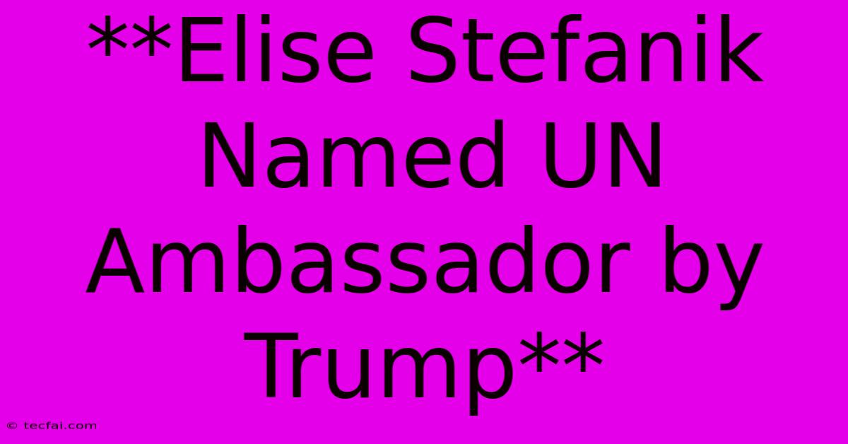 **Elise Stefanik Named UN Ambassador By Trump**