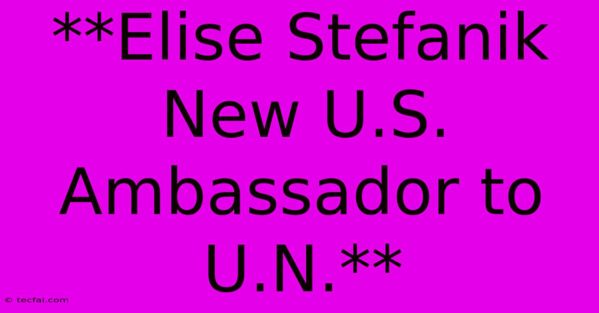 **Elise Stefanik New U.S. Ambassador To U.N.**