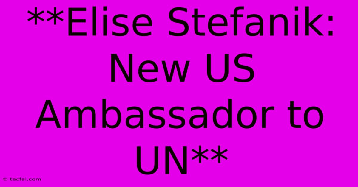 **Elise Stefanik: New US Ambassador To UN**