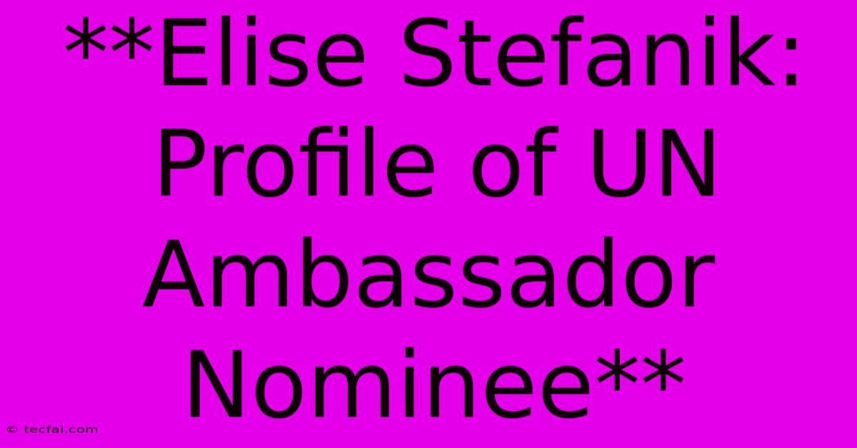 **Elise Stefanik: Profile Of UN Ambassador Nominee**