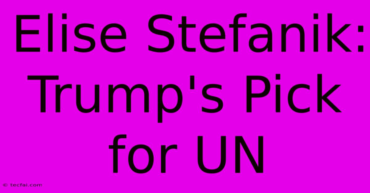 Elise Stefanik: Trump's Pick For UN