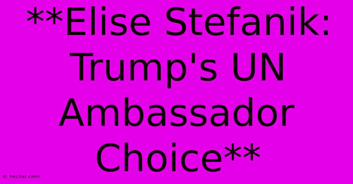 **Elise Stefanik: Trump's UN Ambassador Choice** 