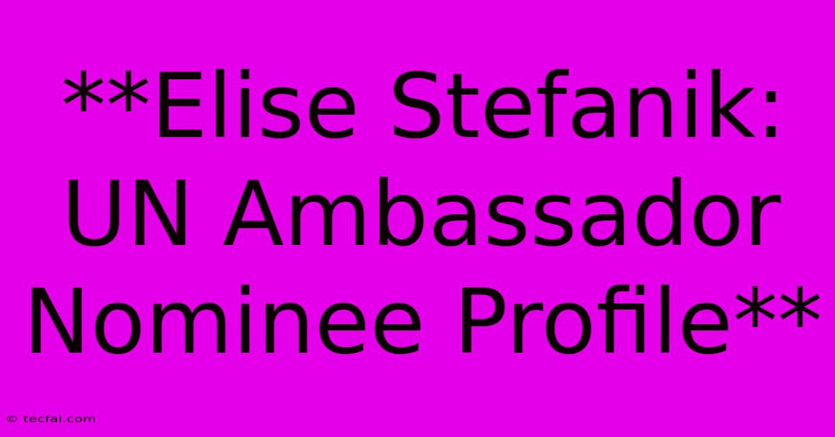 **Elise Stefanik: UN Ambassador Nominee Profile**