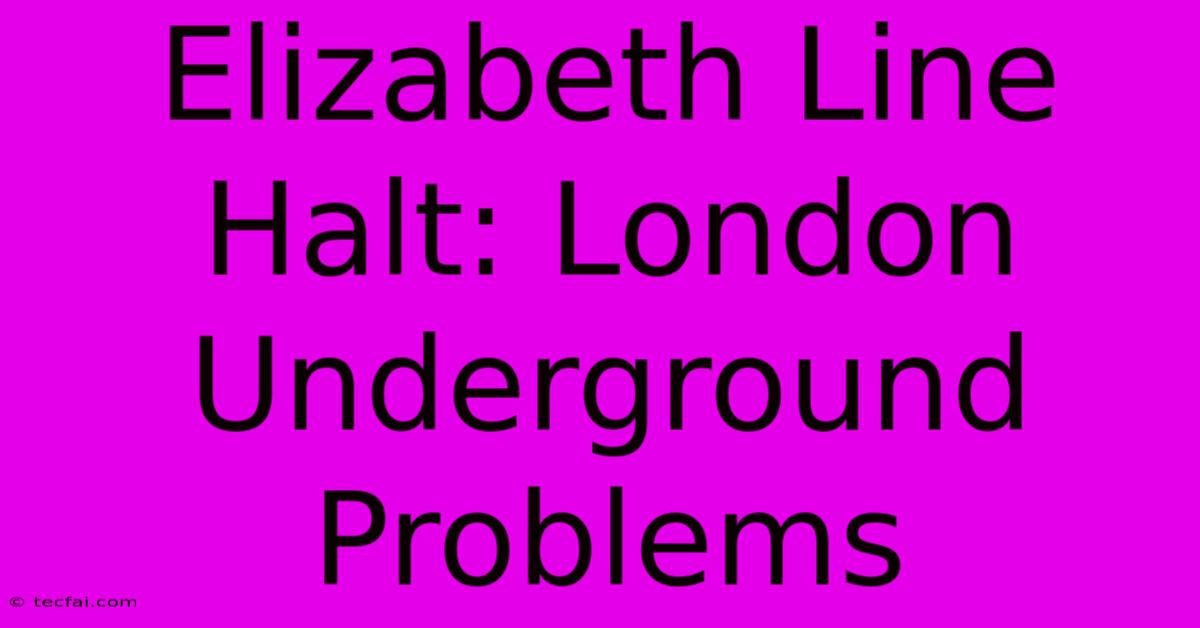 Elizabeth Line Halt: London Underground Problems