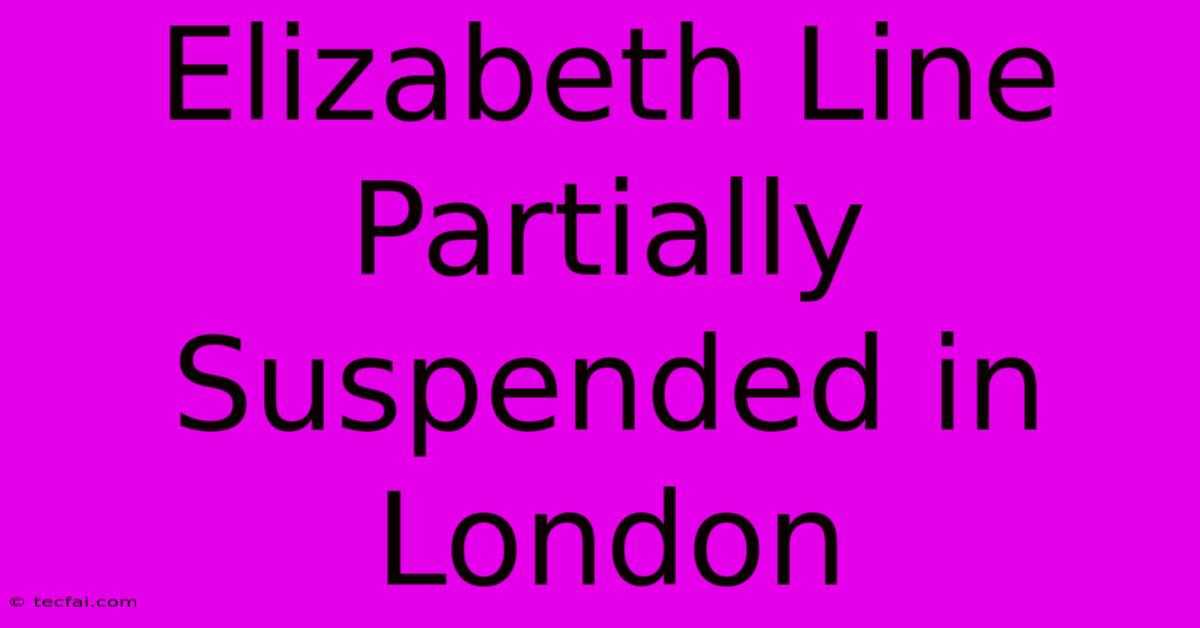 Elizabeth Line Partially Suspended In London