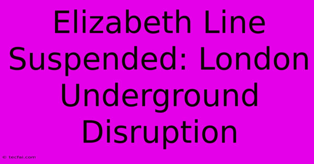 Elizabeth Line Suspended: London Underground Disruption