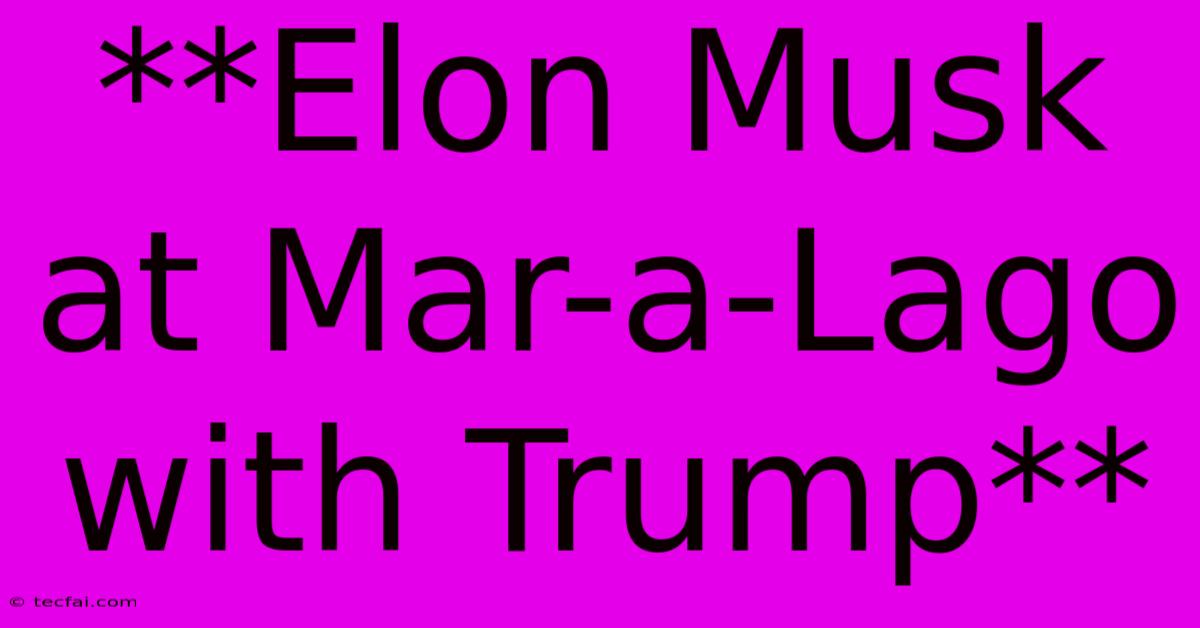 **Elon Musk At Mar-a-Lago With Trump**