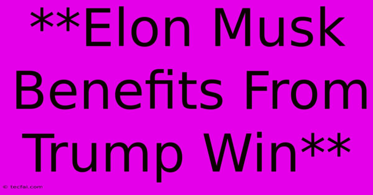 **Elon Musk Benefits From Trump Win**