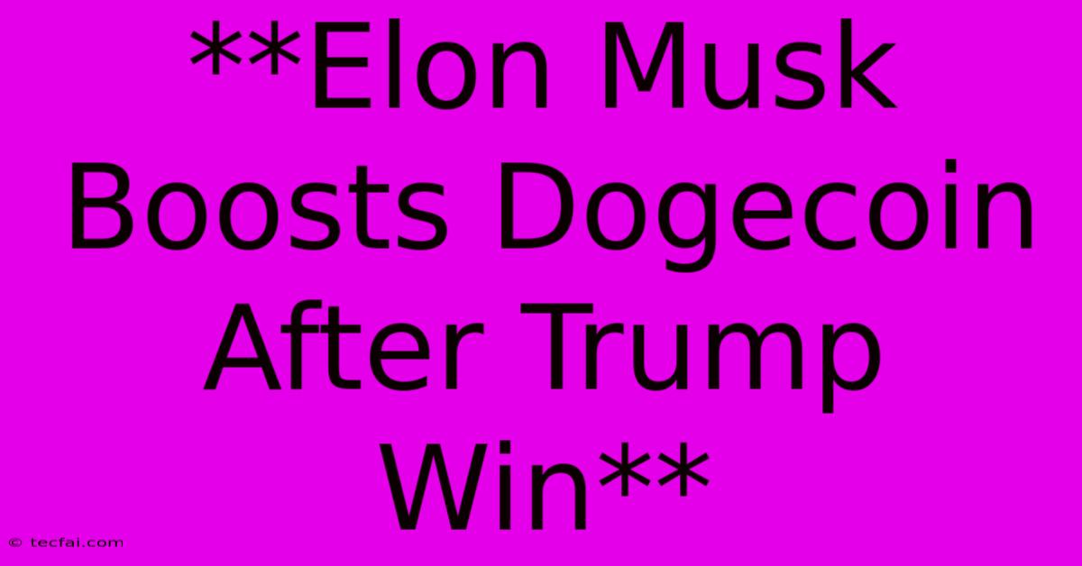 **Elon Musk Boosts Dogecoin After Trump Win**