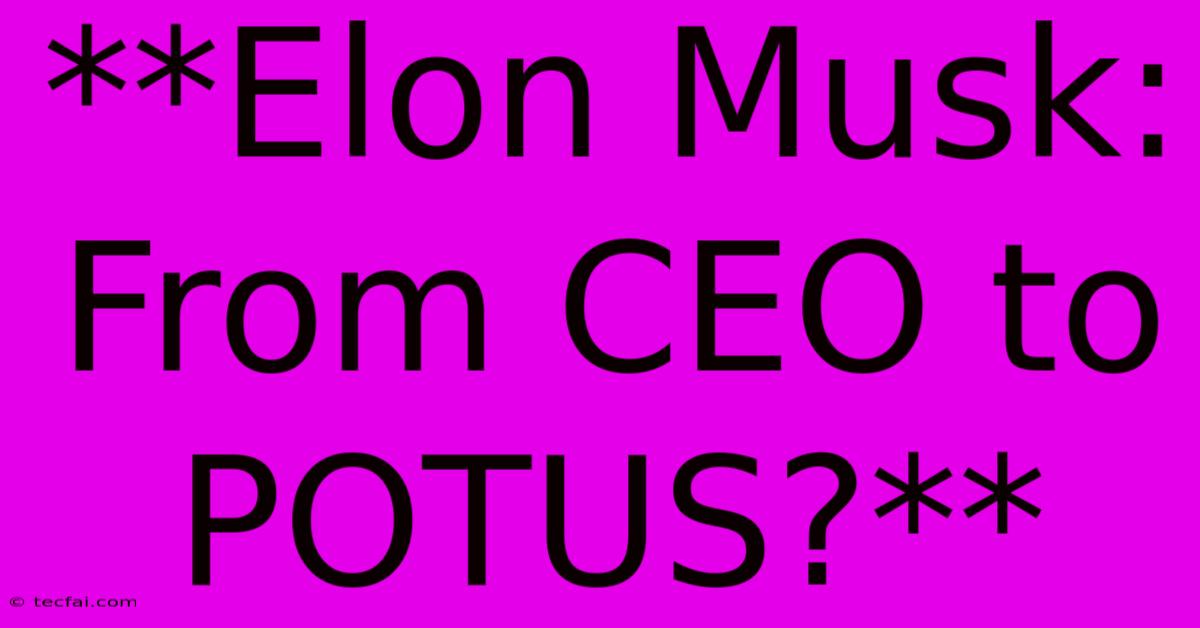 **Elon Musk: From CEO To POTUS?**