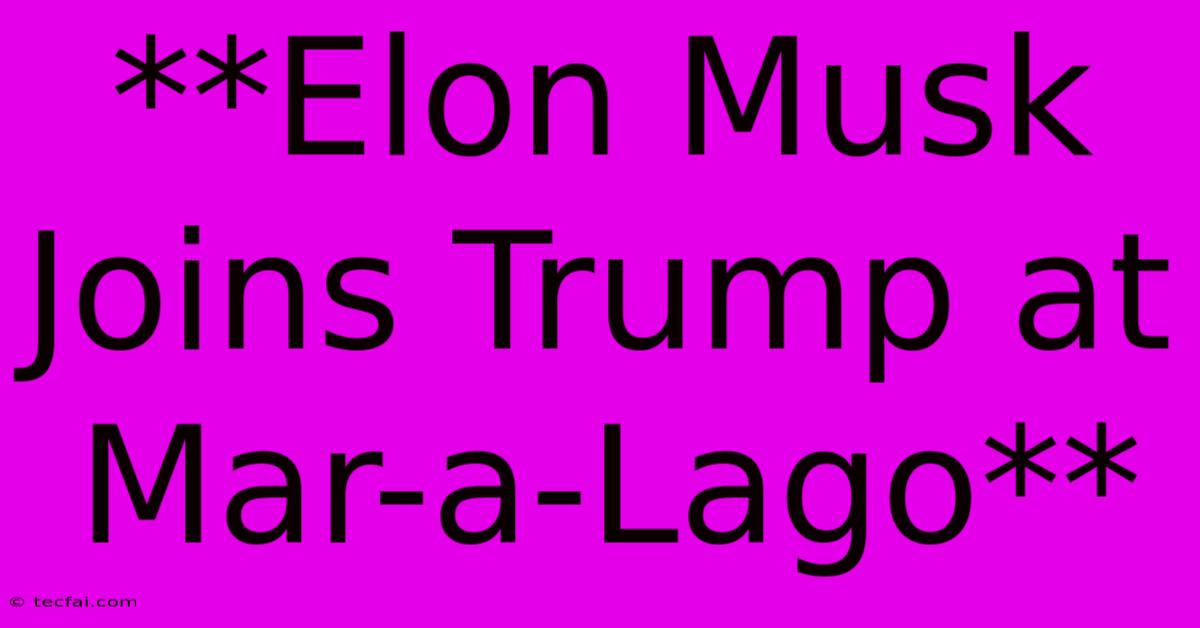 **Elon Musk Joins Trump At Mar-a-Lago**