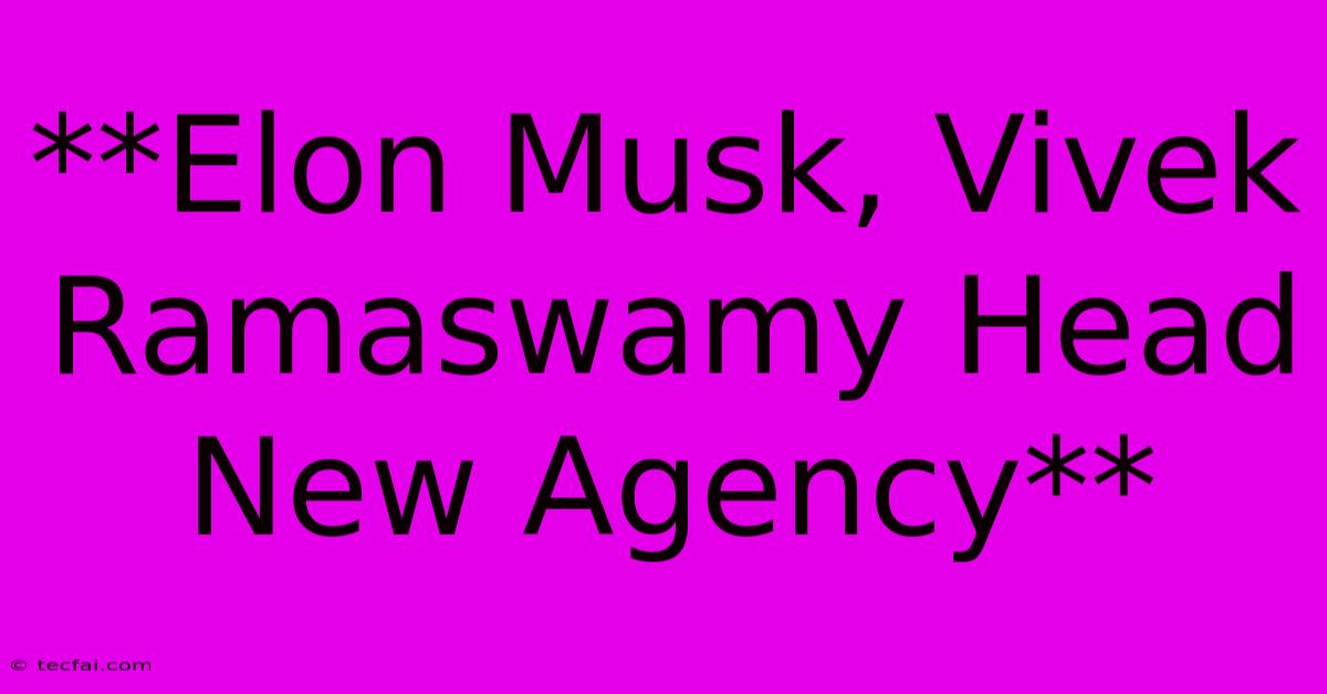 **Elon Musk, Vivek Ramaswamy Head New Agency**