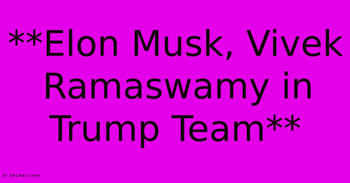 **Elon Musk, Vivek Ramaswamy In Trump Team**