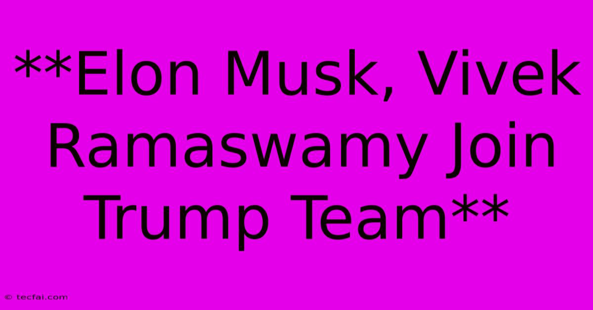 **Elon Musk, Vivek Ramaswamy Join Trump Team**