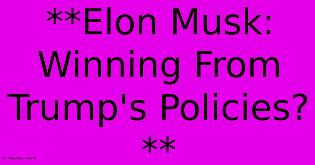 **Elon Musk: Winning From Trump's Policies?**