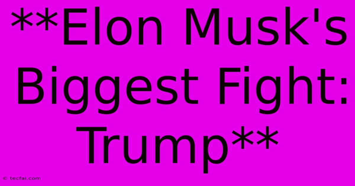 **Elon Musk's Biggest Fight: Trump** 