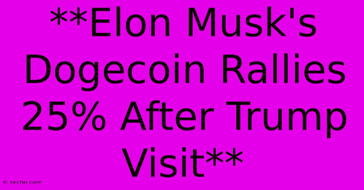 **Elon Musk's Dogecoin Rallies 25% After Trump Visit**