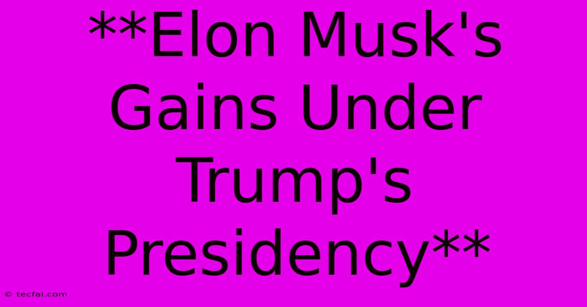 **Elon Musk's Gains Under Trump's Presidency**