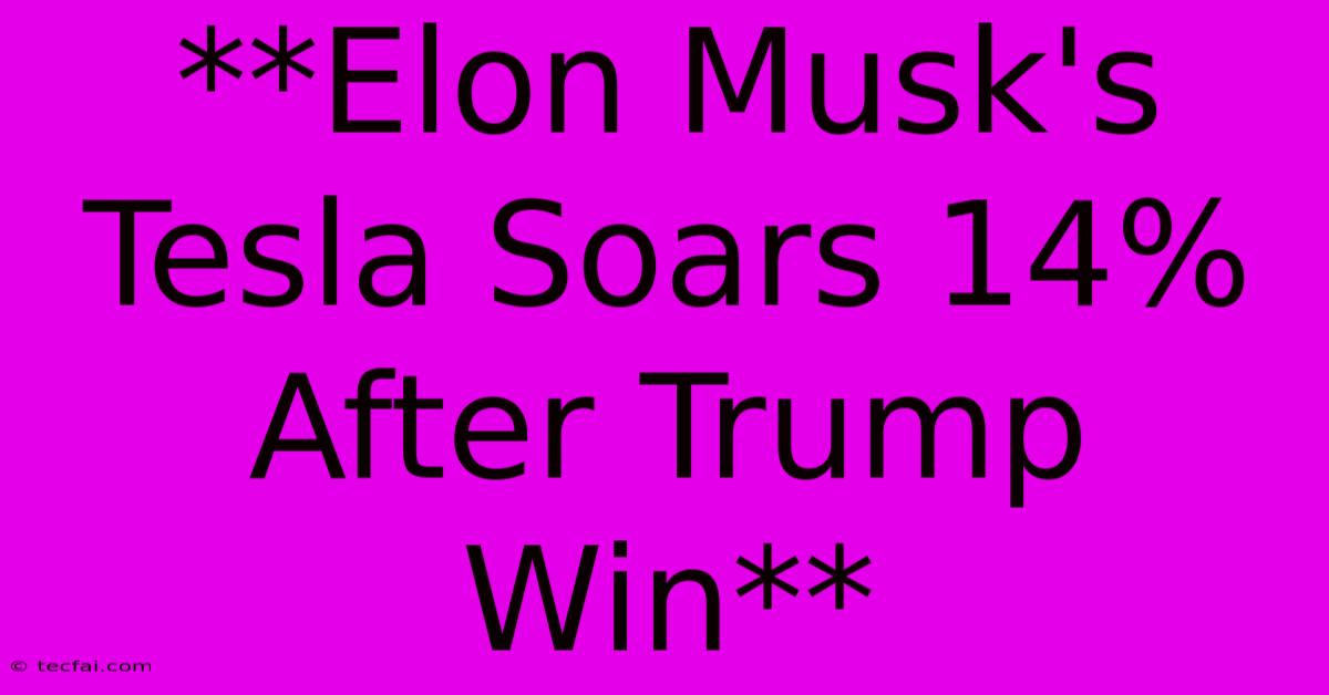 **Elon Musk's Tesla Soars 14% After Trump Win**