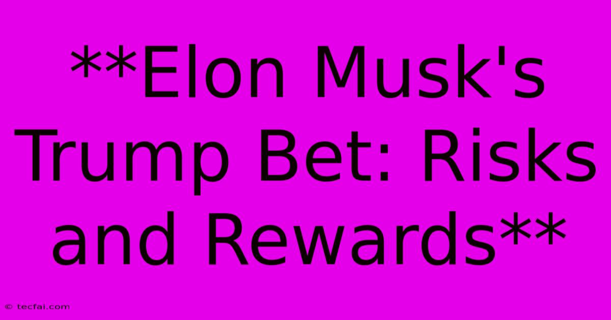 **Elon Musk's Trump Bet: Risks And Rewards**