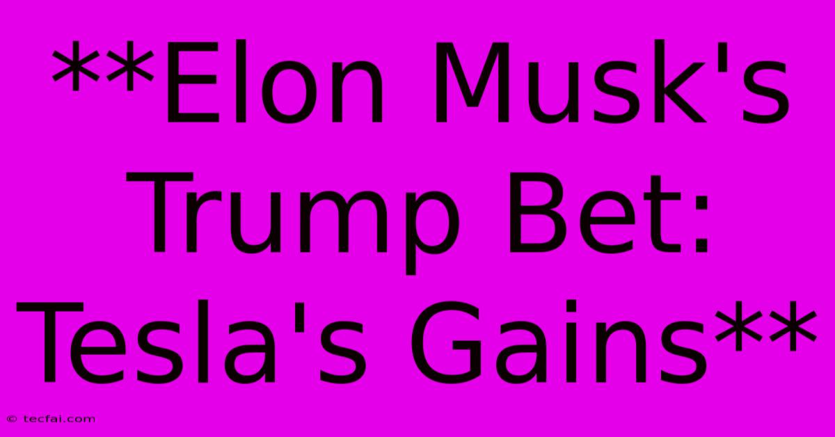 **Elon Musk's Trump Bet: Tesla's Gains**