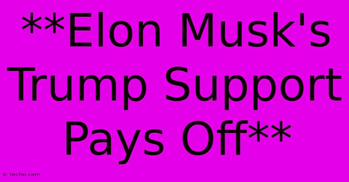 **Elon Musk's Trump Support Pays Off**