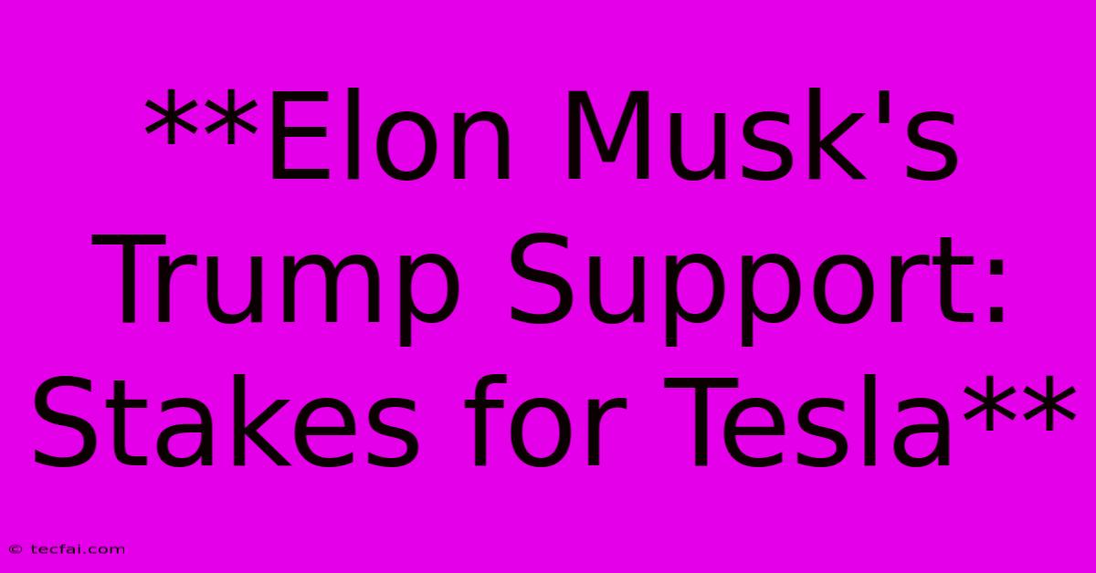 **Elon Musk's Trump Support: Stakes For Tesla**