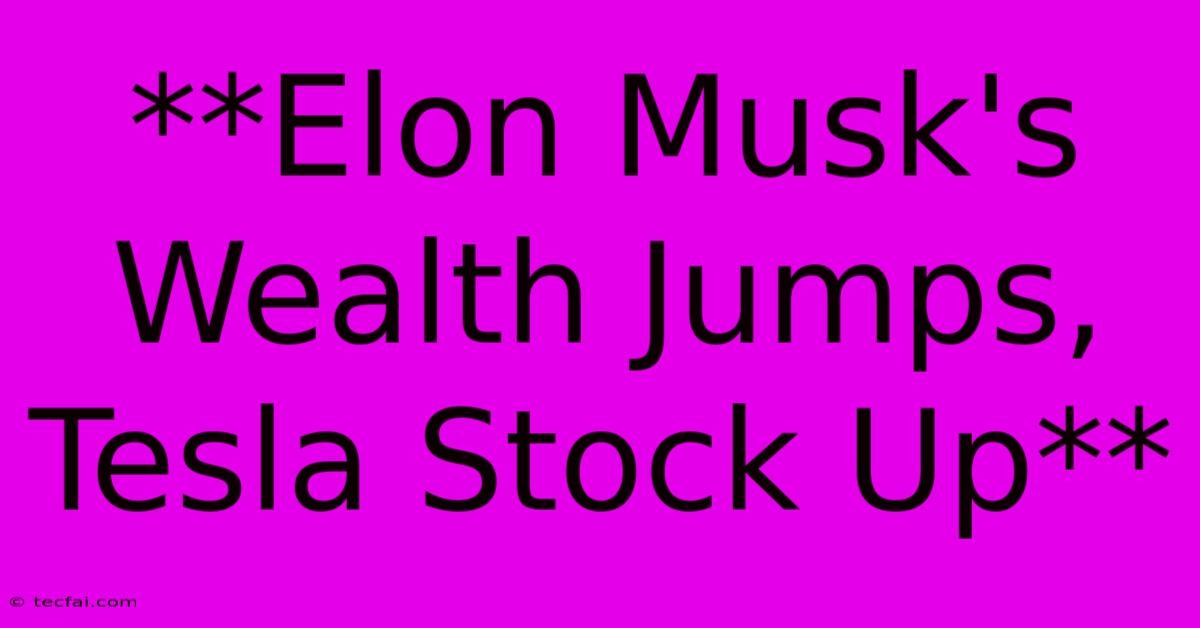 **Elon Musk's Wealth Jumps, Tesla Stock Up**