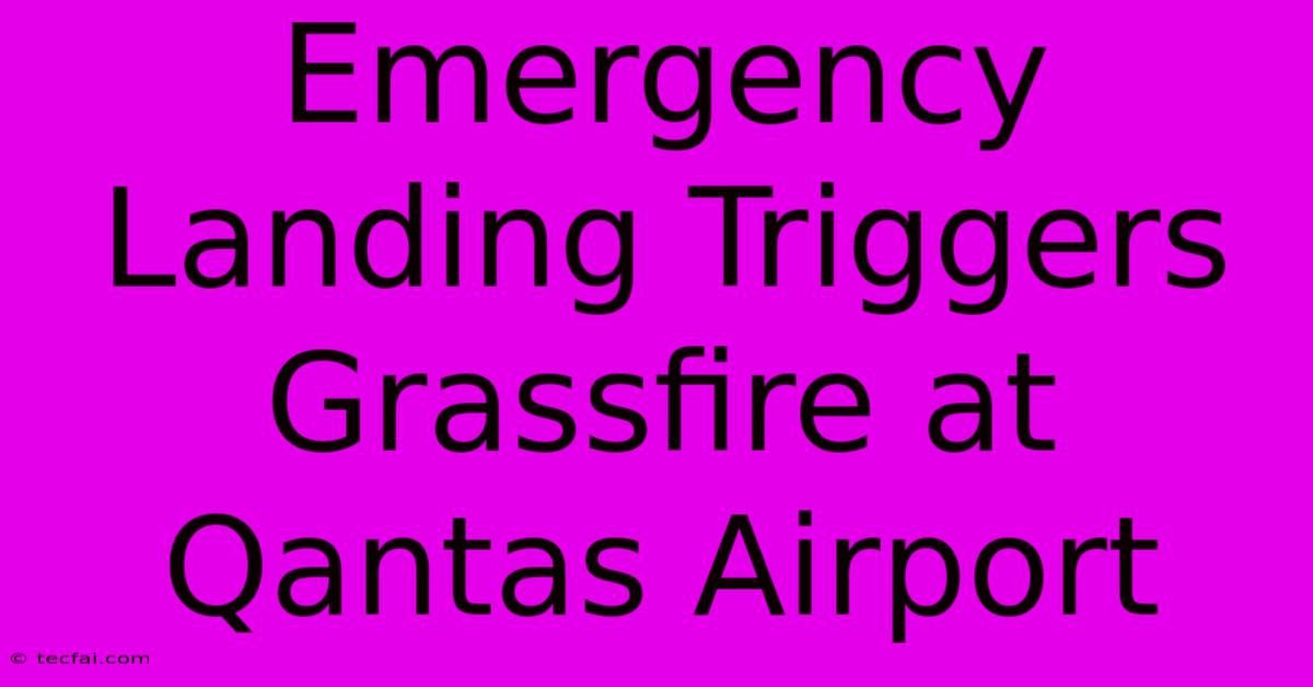 Emergency Landing Triggers Grassfire At Qantas Airport