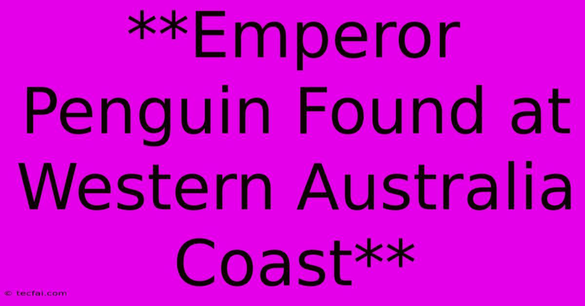 **Emperor Penguin Found At Western Australia Coast** 