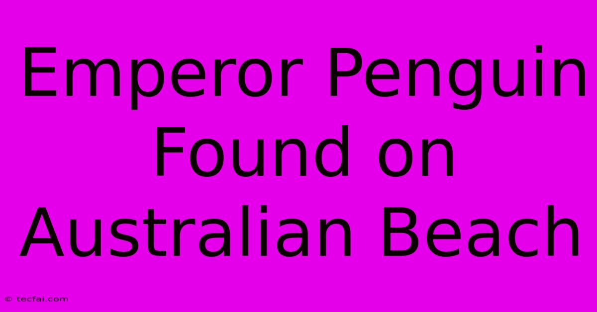 Emperor Penguin Found On Australian Beach