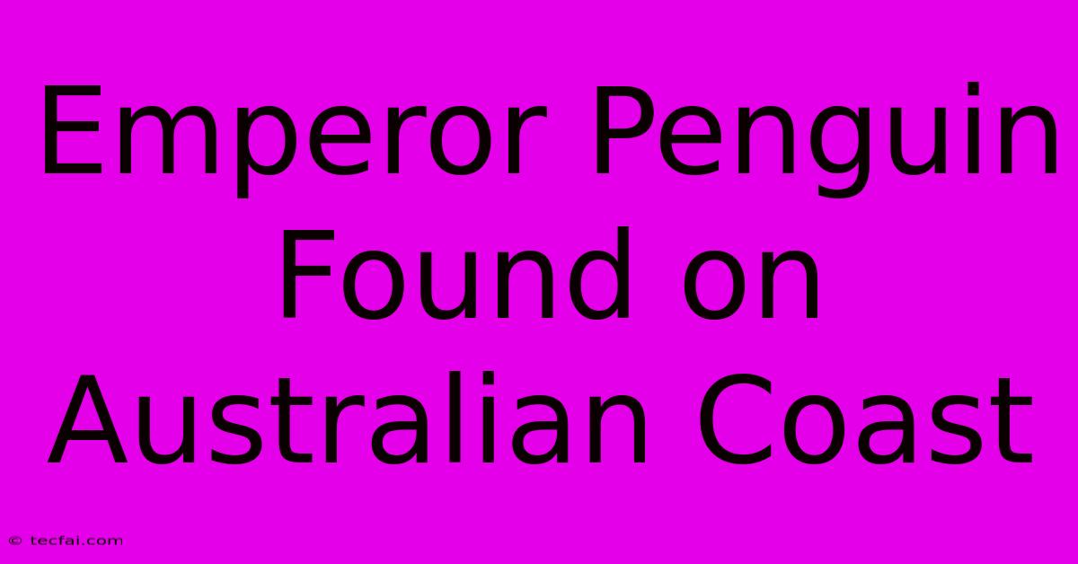 Emperor Penguin Found On Australian Coast 