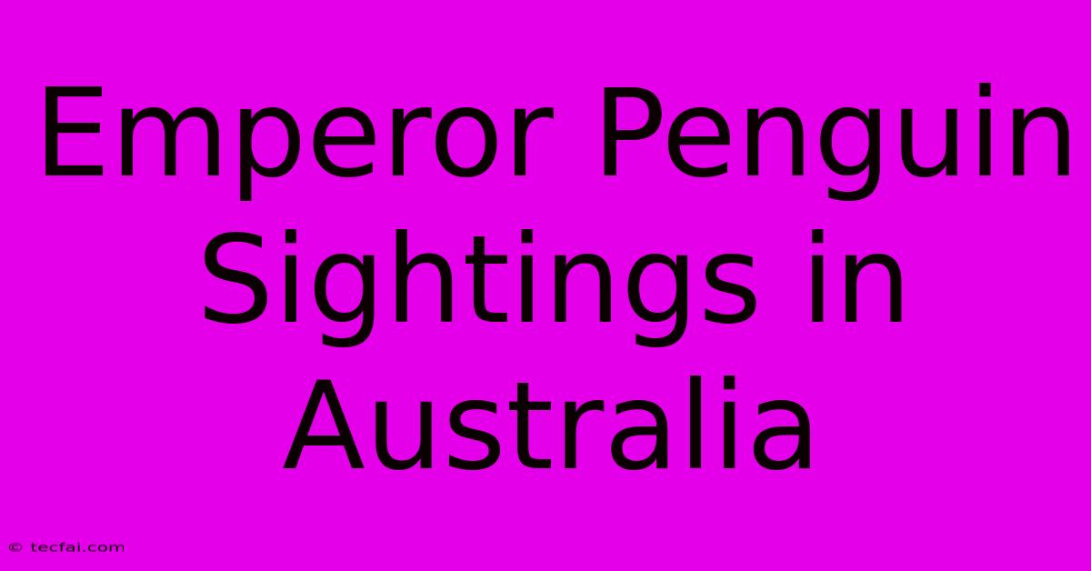 Emperor Penguin Sightings In Australia