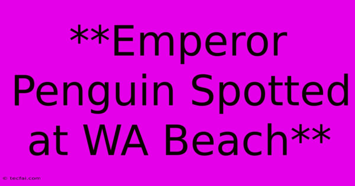 **Emperor Penguin Spotted At WA Beach**